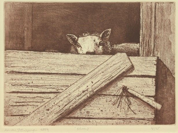 ton van steenbergen  schaap  ets  30x40 cm. 150 00 zonder lijst 1592