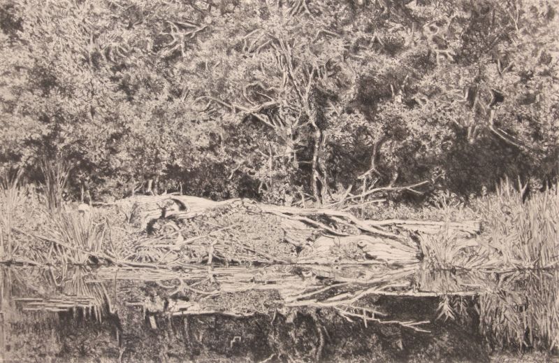 de kromme aar ii  potlood x50 cm. 750 00  2  2638