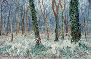 GEZIEN VAN DE RIET  Winters Bankenbos  pastel x30 cm. 690 00 3688