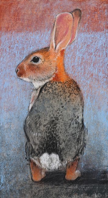 23163  Alert x20 cm    450    4906