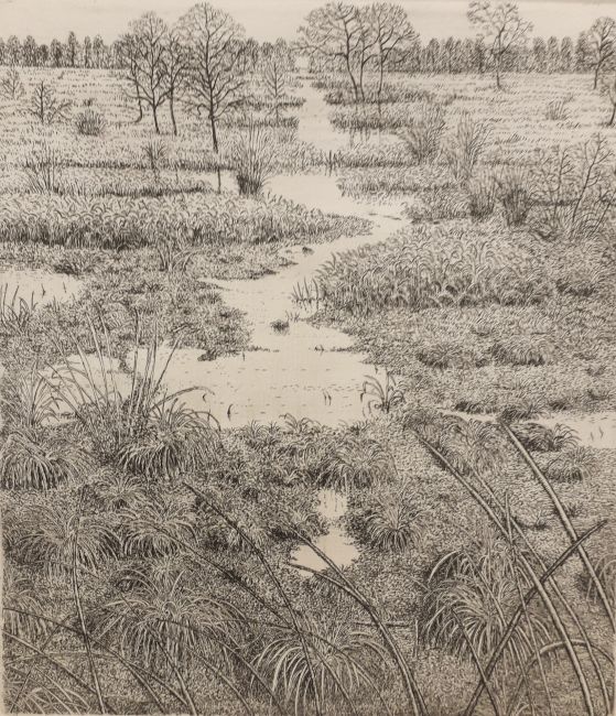 DRAGO PECENICA  moerasland  ets x14 cm. zonder lijst 95 00 5142