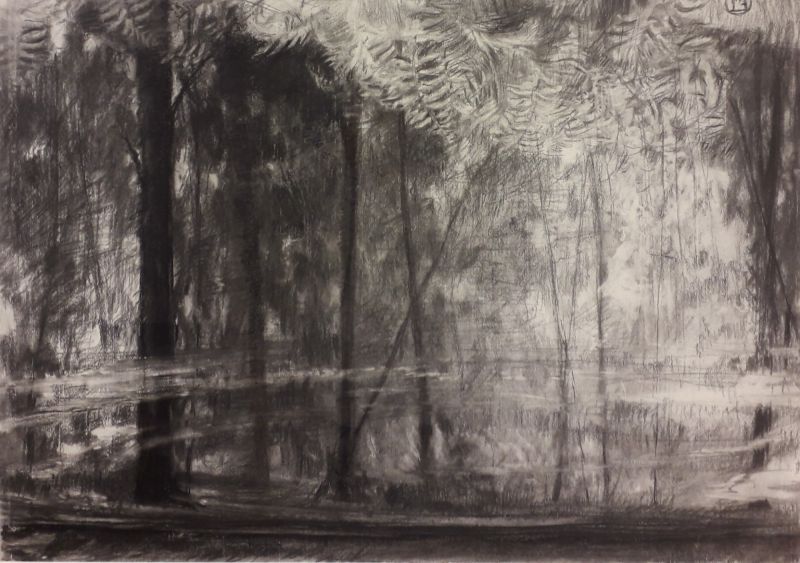 FOKKO TIMERSMA   Vijver  de Braak  Paterswolde  houtskool met krijt  70x90 cm. 975 00 5140