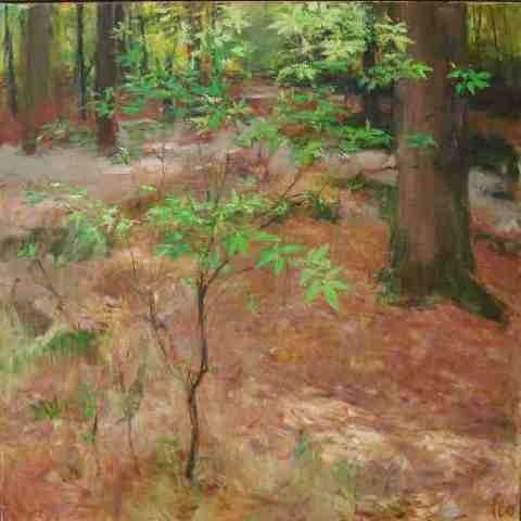 FOKKO TIMERSMA   bos  olieverf op doek  binnenmaten  x cm. E. 3500 00 5141