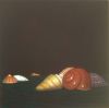 JOOP VEGTER  Shellland Islands  mezzotint x30 cm. cm.0 00 5135
