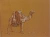 SIMON KOENE  Kameel  zwarte en witte inkt op bruin papier  00  26x32 cm. 5101