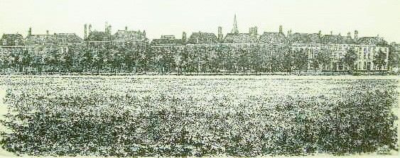 WILLEM MINDERMAN  Maliebaan Prinsessegracht  Den Haag  lijnets binnenmaten x 30 cm. E. 140 00 5104