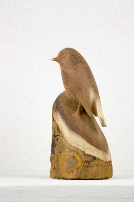  MGa Bonte Vliegenvanger   goudenregen   18x8x8      390   5267