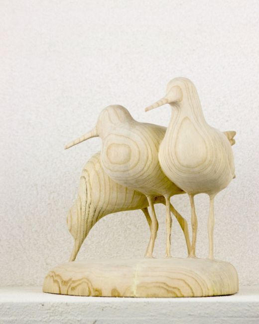  MGa Tureluurs   es   24x23x20      1500   5270