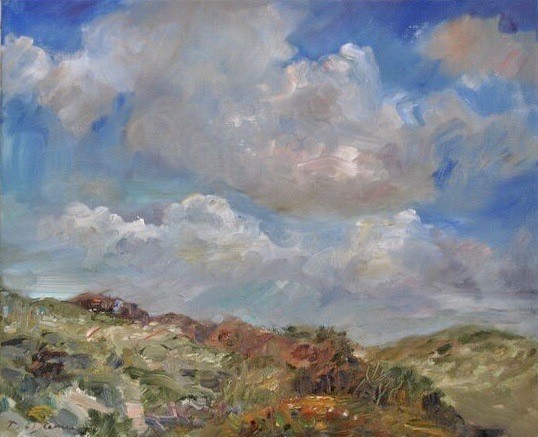 Duintoppen Noordwijk