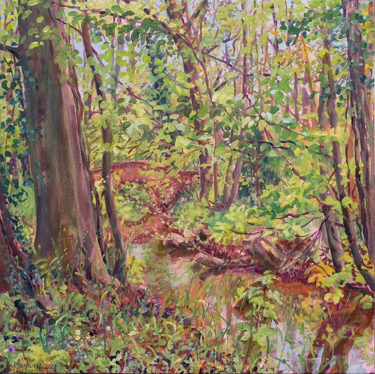 Haagse Beek, Sorghvliet